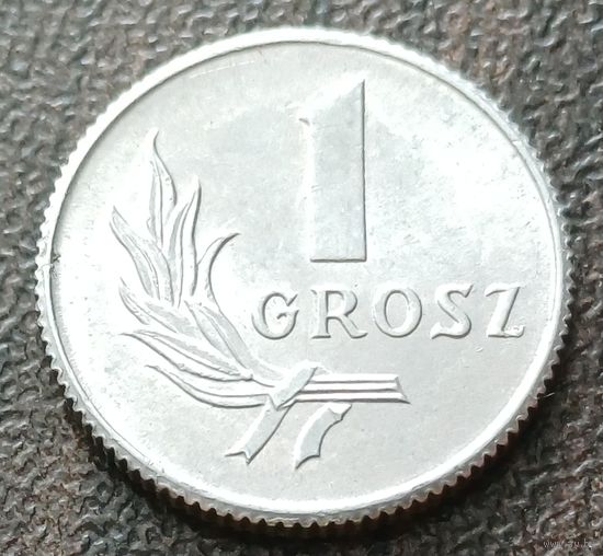 Польша 1 грош, 1949    ( 1-1-4 )
