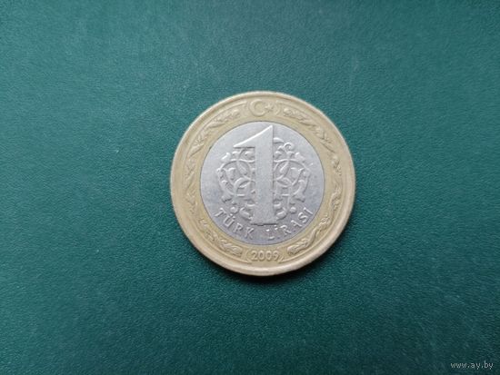 1 лира Турция.
