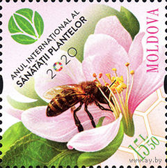 Молдова 2020. Пчела цветок 1 марка (735)