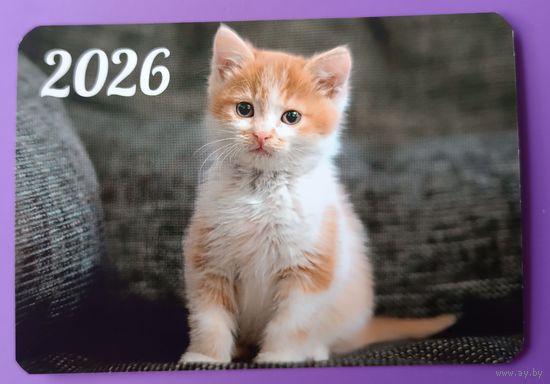 Рыжик. Котенок. Календарик, глянец, 2026.ТРАСКО