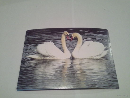 Карточка 1996 лебедь