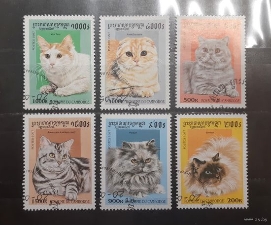 Камбоджа. 1997 год. Фауна. Кошки (737)