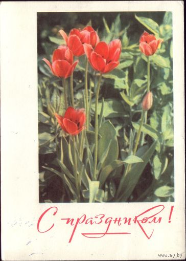 1968 год И.Кропивницкий С праздником! 4