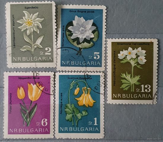 Болгария цветы 5шт