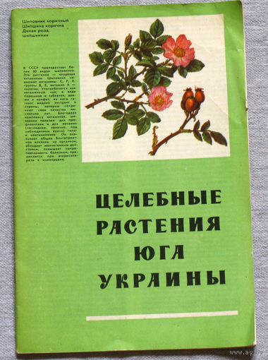 Целебные растения юга Украины.