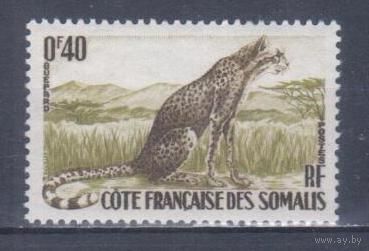 [2062] Французские колонии. Французское Сомали 1958. Фауна.Гепард. МН