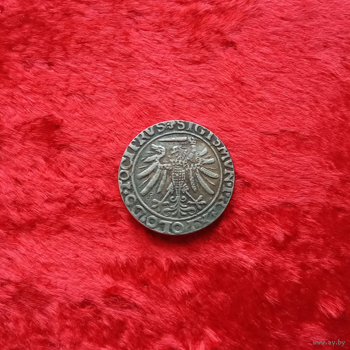 КОПИЯ 6 грошей 1536 Сигизмунд I Август