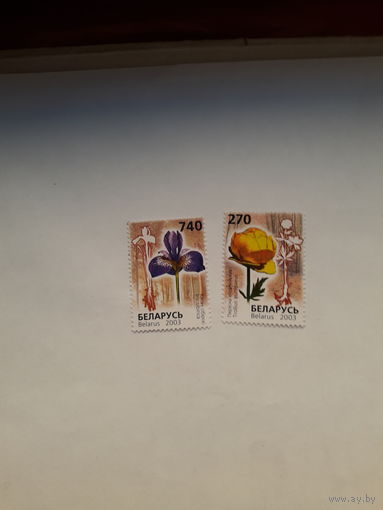 Марки Беларусь 2003 Цветы