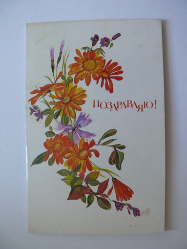 Охотина Н., Поздравляю! 1988, двойная, подписана.