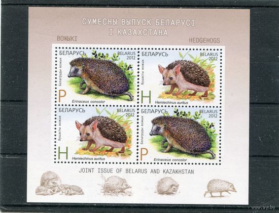 Беларусь 2012. Фауна. Ежи. Блок