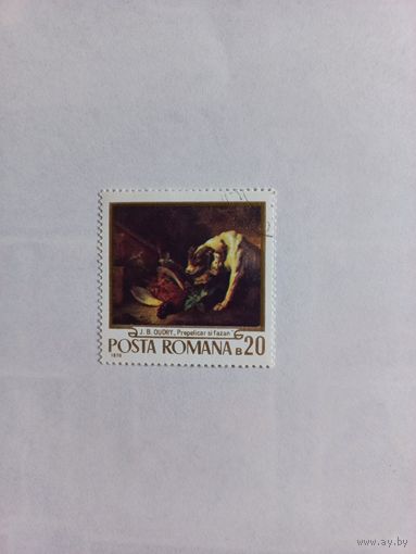 Охота с собаками. Румыния. 1970.