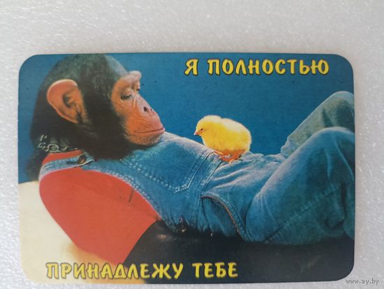 Животные, Обезьяны, 2001 год. Карманные календарики, Календарик, Календарь