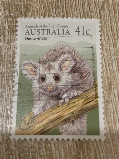 Австралия. Фауна. Greater Glider. Марка из серии