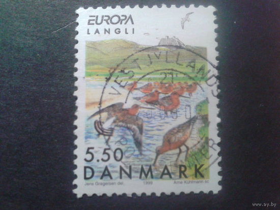 Дания 1999 Европа птицы