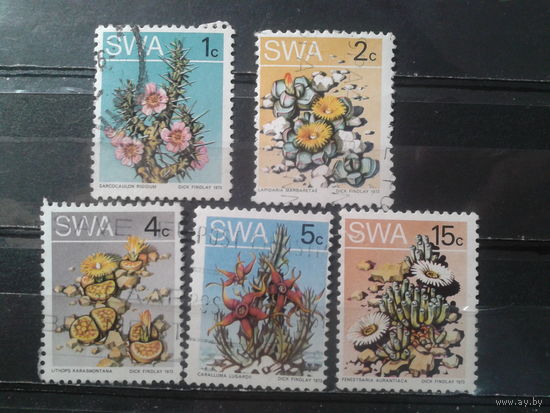 Юго-западная Африка, 1973. Пустынные растения