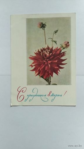 Почтовая карточка