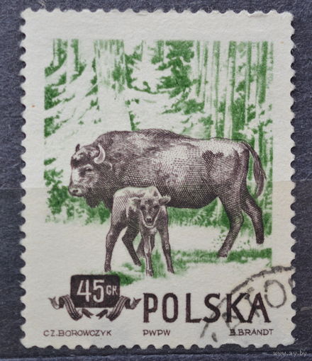 Полша