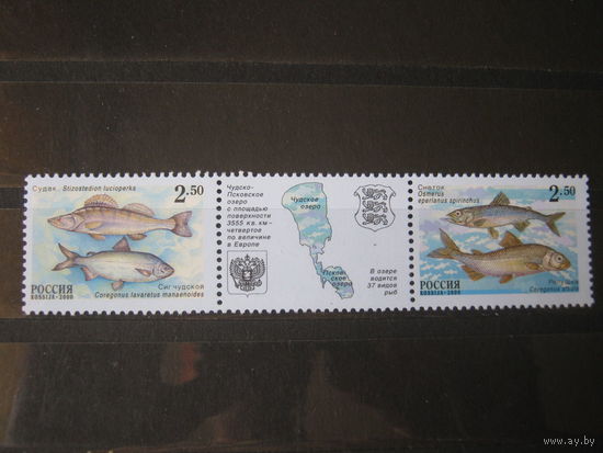 Марки - Россия 2000. Фауна # 629-630. РЫБЫ ЧУДСКО-ПСКОВСКОГО ОЗЕРА.
