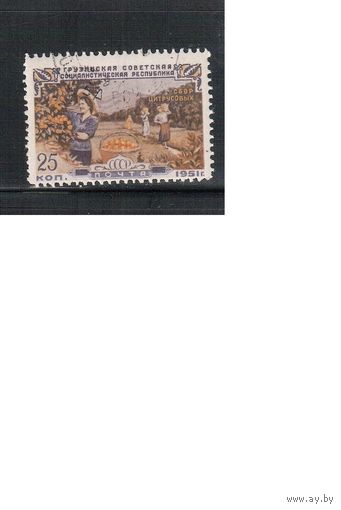 СССР-1951, (Заг.1514) , гаш.(с клеем) , Грузинская ССР