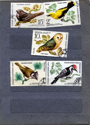 СССР, 1979, ПТИЦЫ - защитники леса,  гашеная,серия 5м