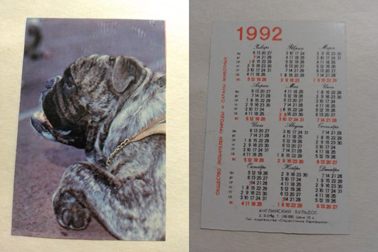 Карманный календарик. Собака.1992 год