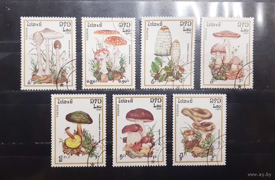 Лаос. 1985 год. Флора. Грибы (960)