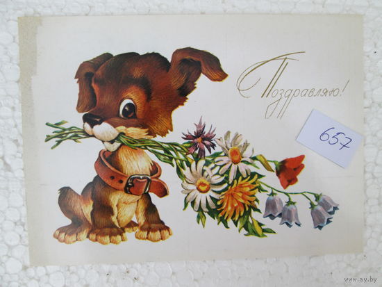 Открытка СССР, лот 657