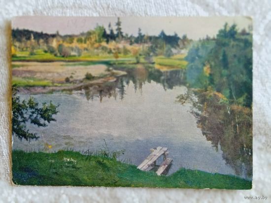 1955. Цвирко (Беларусь). Тишина