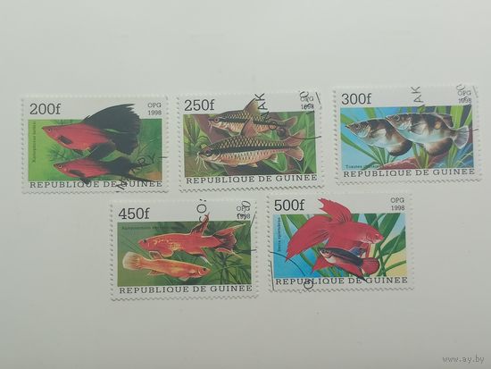 Гвинея 1998. Популярные аквариумные рыбки