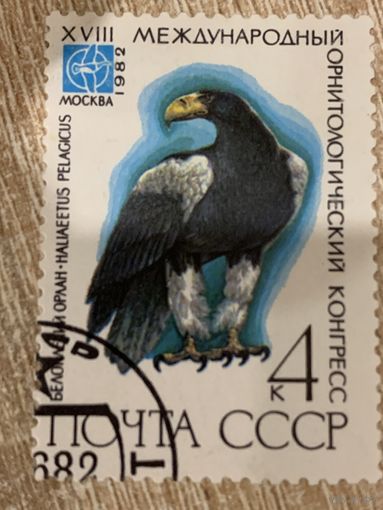 СССР 1982. Белоголовый орлан. Марка из серии