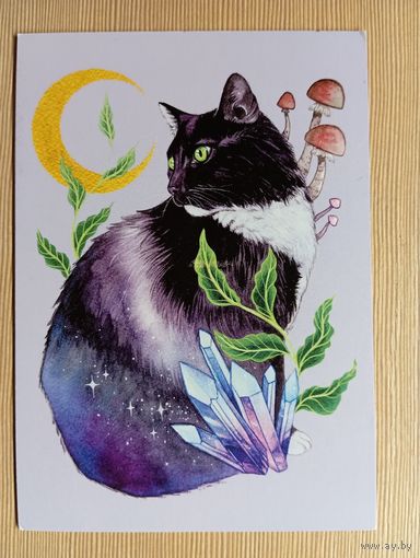 О-12. ПОДПИСАННАЯ ОТКРЫТКА. ГЕРМАНИЯ. ГРИБНОЙ КОТ.