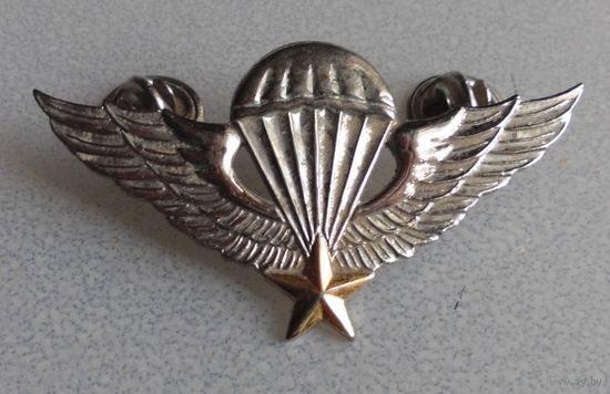 Нагрудный знак парашютиста. Иран.