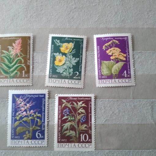 СССР, 1972, ЛЕКАРСТВЕННЫЕ ** РАСТЕНИЯ   ,серия   5м, чистая**