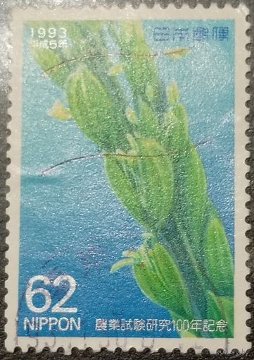 Япония 1993. Флора. Растения