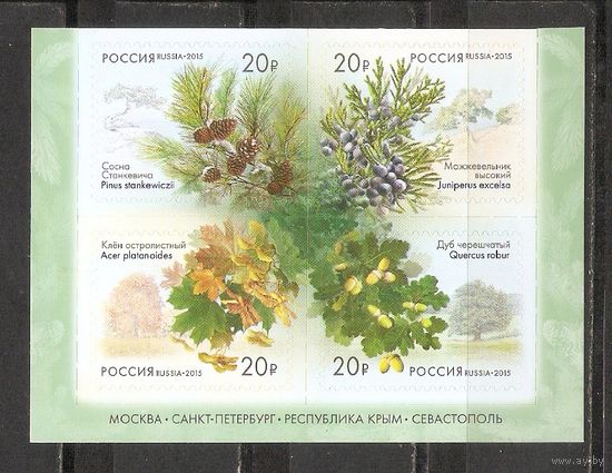 ФФ1 Россия 2015 Шишки самоклейка