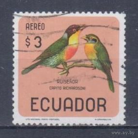 [532] Эквадор 1966. Фауна.Птицы. Гашеная марка.