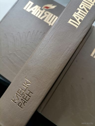Книга Память Клецкий р-н