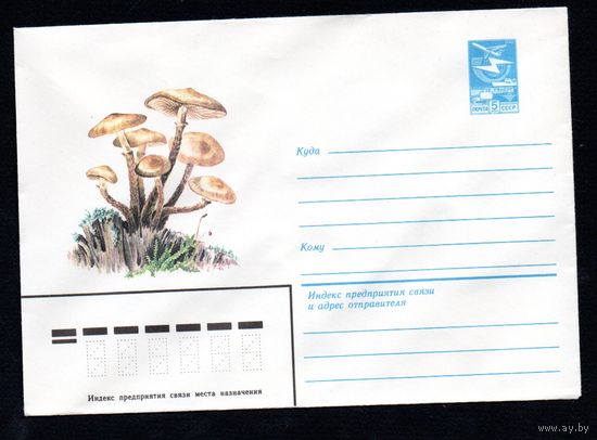 Художественный маркированный конверт СССР N 15879 (27.09.1982) Водяной гиацинт