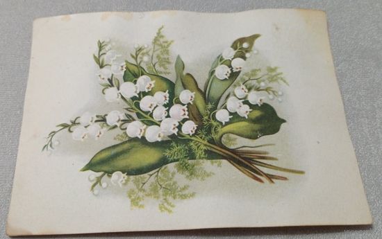 Ландыши. Филателистическая контора, 1955, Таллинн, маркированная, чистая