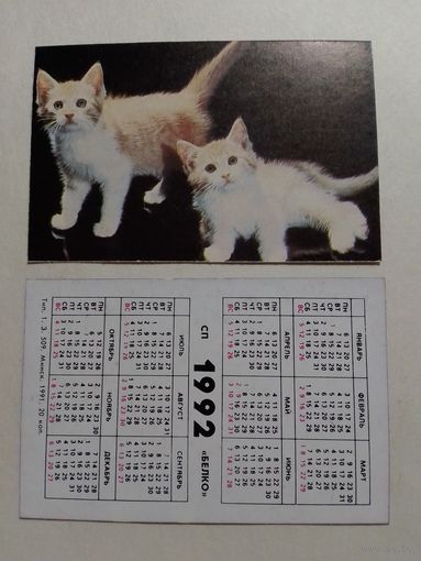 Карманный календарик. Котики.1992 год