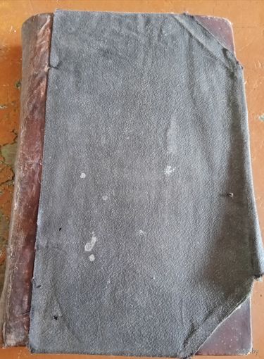 Элиза Ожешко книга 1884 года