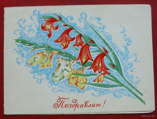 Поздравляю! Подписанная. Двойная. Пинская тип. 919.