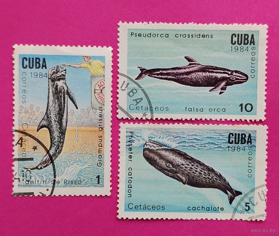 Куба. Фауна. ( 3 марки ) 1984 года. 7-3.