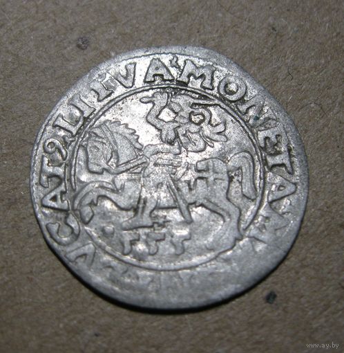 Полугрош 1555 года