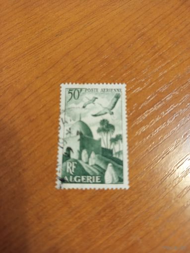 Французская колония Алжир архитектура фауна птицы (4-15)