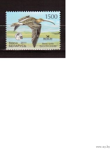 Беларусь-2011,(Мих.849)  Птица года