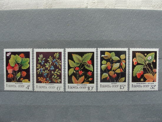 Продажа коллекции с 1 рубля! Чистые почтовые марки СССР в коллекционном** состоянии.