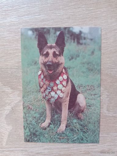 Календарик 1993