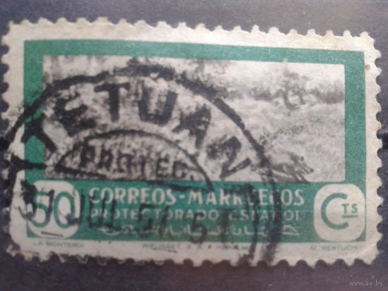 Испанское Марокко, 1951, Охота на кабана