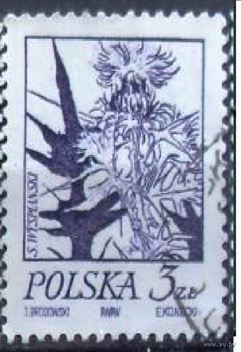 ФЛОРА ЦВЕТЫ ПОЛЬША 1974 Рисунки